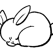 momoko@pawoo.net