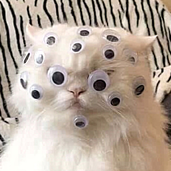 thorthenorseman@pawoo.net