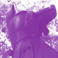 画眩@fedibird.com