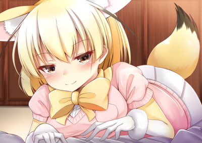 ドヤちぃ フェネック へぇ 君って意外と可愛い寝顔するんだねぇ Illust けものフレンズ Ht Pawoo