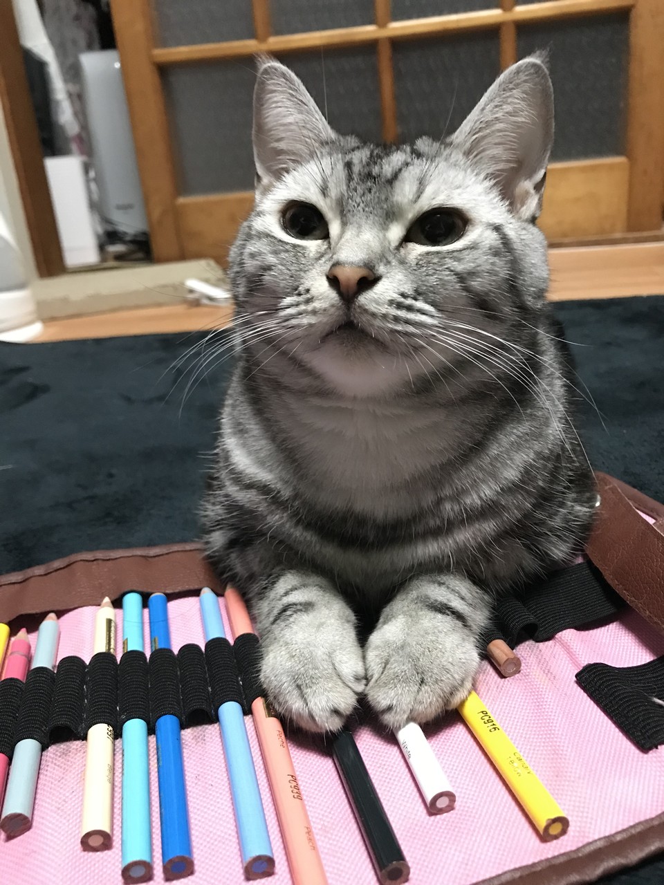 Yuka ゆか Yuka1978nakashima Pawoo Net Pawoo