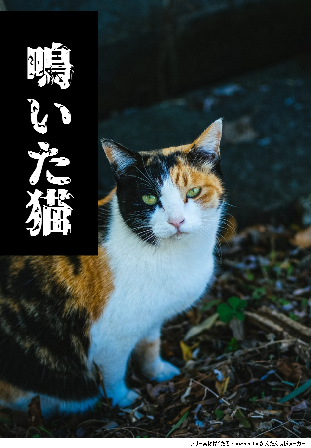 赤鈴 新作ホラー小説 鳴いた猫 の表紙が完成しました 今回は実話を基にした怪談話です 加筆修正も昨 Pawoo