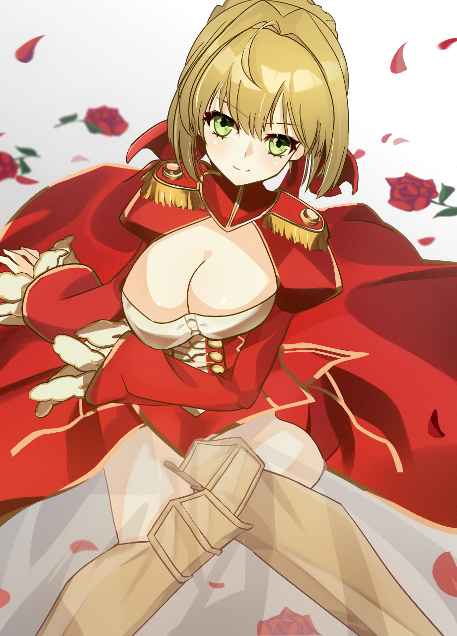 さめ 赤セイバー Fate Fate Extra Pawoo