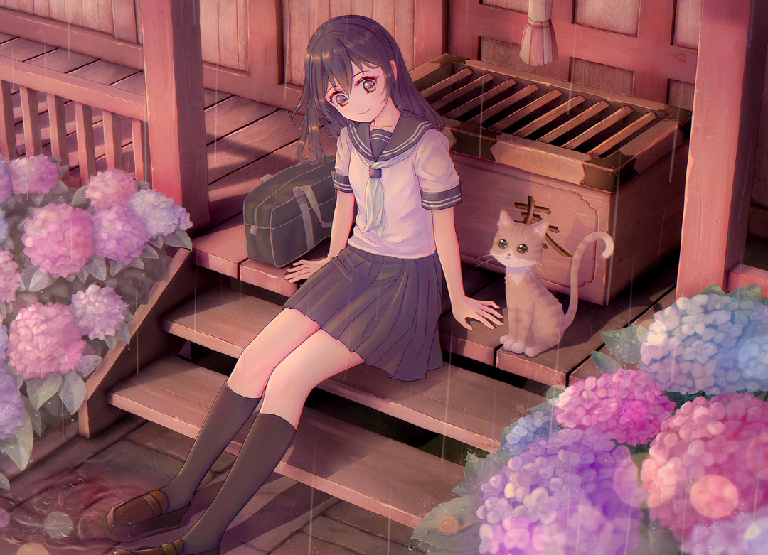 梅雨 東京カメラ部