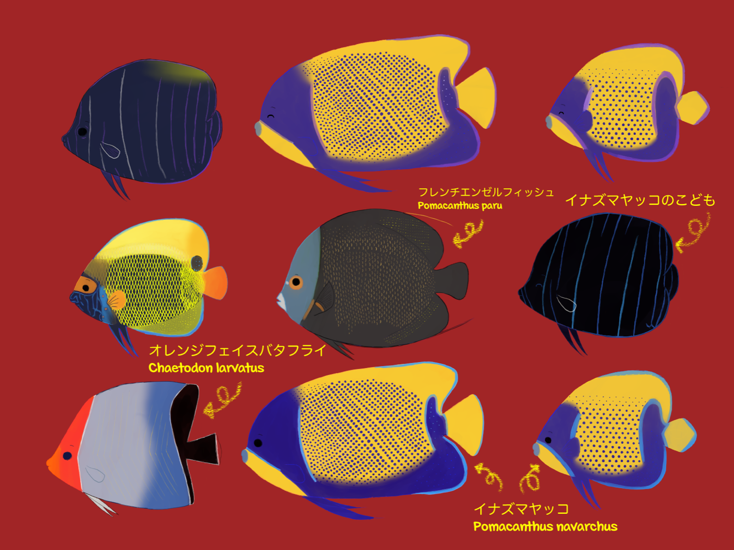 香佑 こう My Report Mischievous Pawoo Net Pawoo