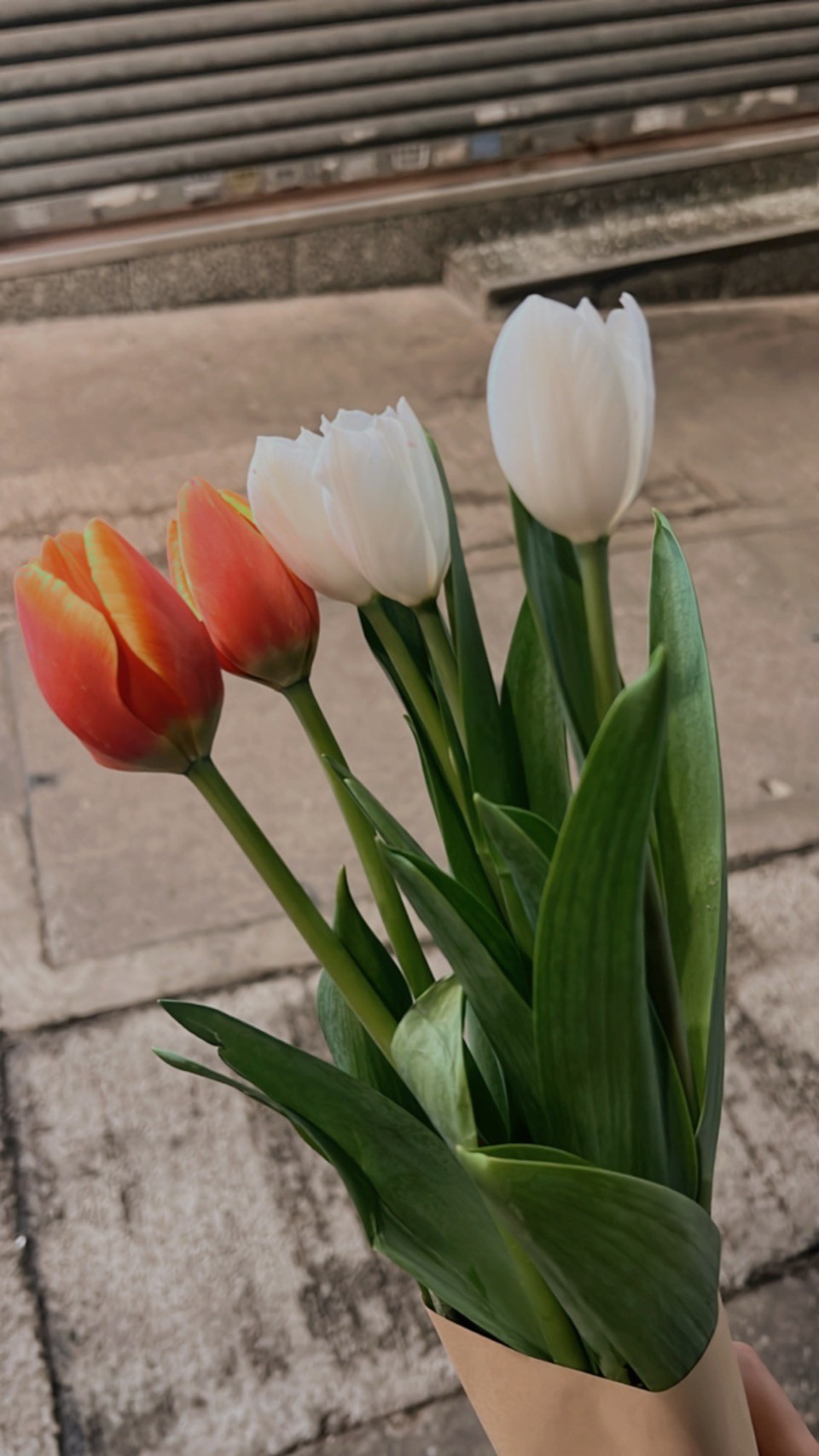 高_KK "Flowers I love 🌷" Pawoo